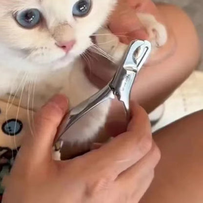 Magic Self-Adhesive Multi-Function Pet Wrap Cloth